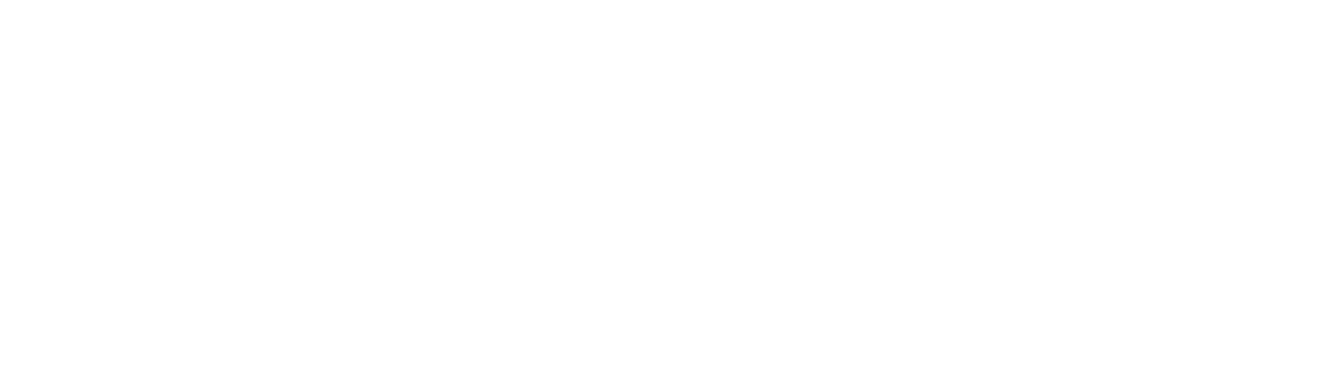 Nina Assam Photography Logo