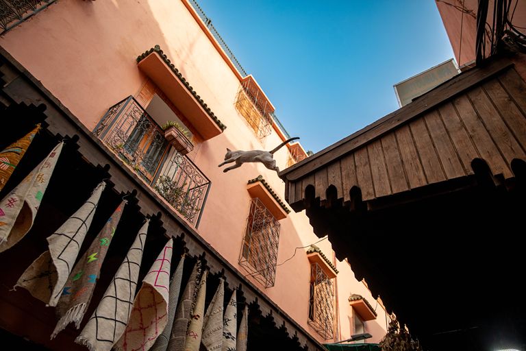 Morroco Creative-13